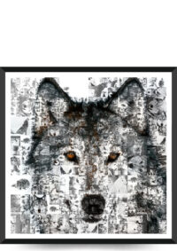 ulv lavet af mange ulve billeder