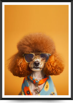 puddelhund med solbriller