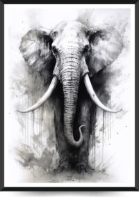 akvarel elefant plakat