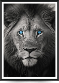 plakat med løve som har blå øjne