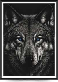 ulv med blå øjne