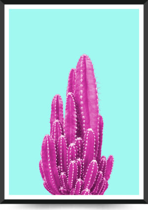 fotoplakat pink kaktus