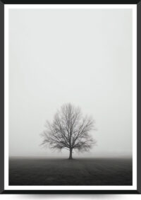 træ i tåge